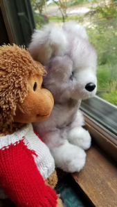 Read more about the article The Adventures of Ruff and Friends (episode1)