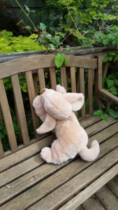 Read more about the article Tumble Explores the Dangerous Deck (episode 6)