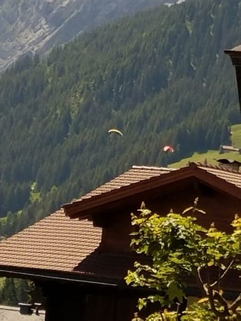 Over the rooves of Adelboden, we see two parasails come up over the mountain's shoulder and wind their windy way toward a pasture.