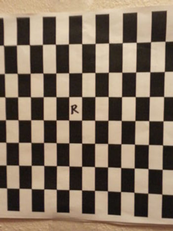 a pattern of rectangles, not squares. Black and white with a letter in the middle white square to focus upon.