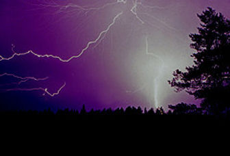 many bolt lightnings on a purple sky above a forest