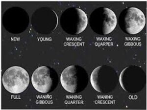 Read more about the article The Night Sky with Kids