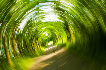 A path, seen at a tilt, where all the greenery is whirling around you.