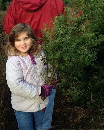 Granddaughter deer carries her own tree.